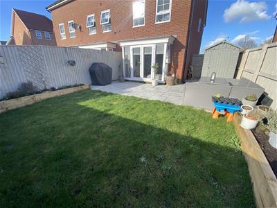 Picture 20